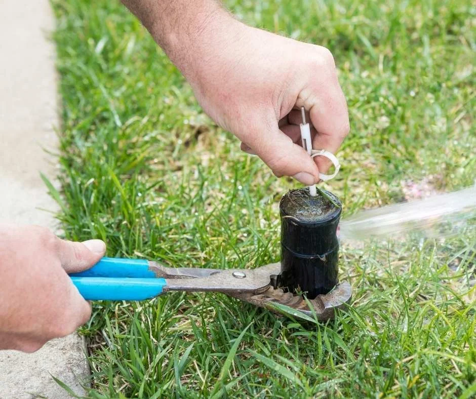 Sprinkler Head Replacement & Adjustments